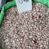 فروش ویژه حبوبات درجه یک عطاری ممتاز|آرایشی، بهداشتی، درمانی|زنجان, |دیوار