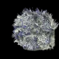 عبا|لباس|اصفهان, تخت فولاد|دیوار