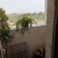 عروس هلندی گمشده