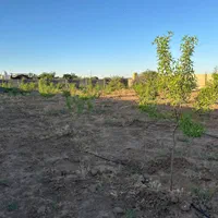 باغ ویلا|فروش خانه و ویلا|تهران, زیبادشت|دیوار