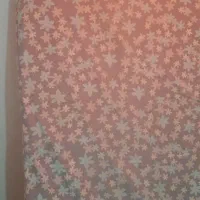 تشک معمولی