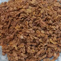 زردآلوی امسال درشت آفتاب خشک