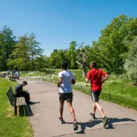 یار تمرینی برای ورزش