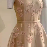 استخدام چرخکار مجلسی