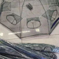 گرگور تور بچه ماهی