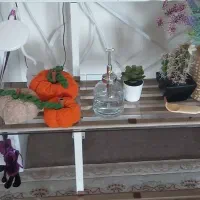 شلف زمینی آهنی|کتابخانه، شلف، قفسههای دیواری|اسلامشهر, شهرک واوان|دیوار