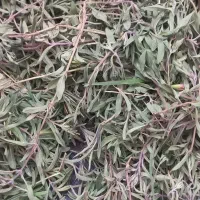 گیاهان دارویی|خوردنی و آشامیدنی|تهران, خاوران|دیوار