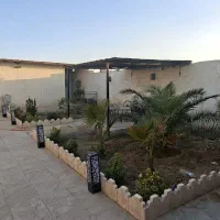 250متر باغچه با لوازم