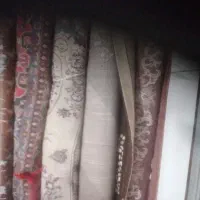 قالی ودوچرخه