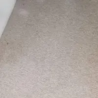 پالاز موکت