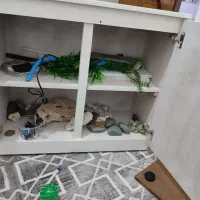 آکواریم کامل آماده پا به نو|ماهی|خمینی‌شهر, |دیوار