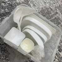 سبد پیک نیک ۶ نفره لیمون