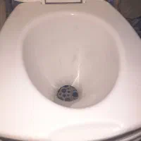 توالت فرنگی