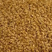 کنجد ممتاز مخصوص ارده گیری