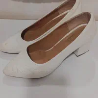 کفش مجلسی