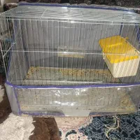 قفس پرنده