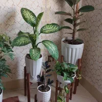 پایه گل و کارهای چوبی.پاسماوری میز بار