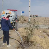 زمین دور دیوار|فروش زمین و ملک کلنگی|گلمکان, |دیوار