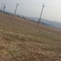 زمین کشاورزی