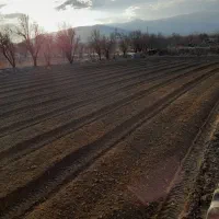 سنگ جمع کن تمام اتوماتیک|خدمات باغبانی و درختکاری|قیدار, |دیوار