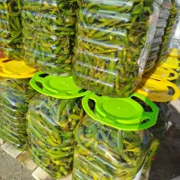 تولید انواع ترشیجات محلی با کیفیت عمده|عمدهفروشی|رشت, چله خانه|دیوار