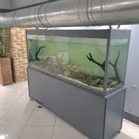 آکواریوم دو متری مناسب کافه رستوران سفره خانه