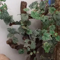 درختچه مصنوعی