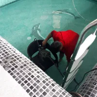 لوله بازکنی و تخلیه چاه