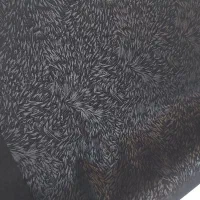 چادرمشگی نخی|لباس|قم, نیروگاه|دیوار