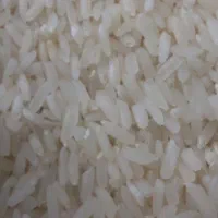 برنج هاشمی ممتاز