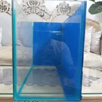 اکواریوم|ماهی|تهران, مسعودیه|دیوار