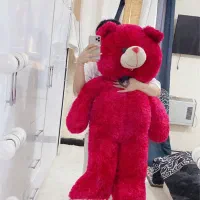 فروش خرس بزرگ یک متر و نیم