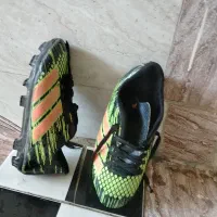 کفش ورزشی|کیف، کفش، کمربند|اندیمشک, |دیوار