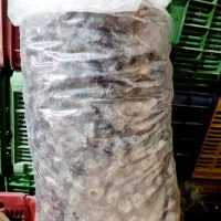 آلوچه سیاه مراغه|خوردنی و آشامیدنی|سراجو, |دیوار