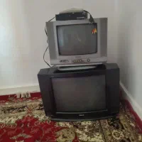 تلویزیون