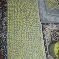 کشک گوسفندی