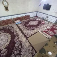 2 عدد قالی و ۱ عدد گلیم|فرش|ایذه, |دیوار