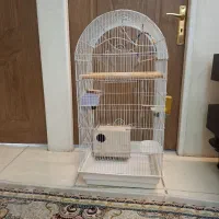 قفس پرنده