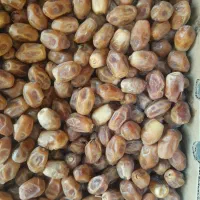 خرما زاهدی درشادگان|خوردنی و آشامیدنی|اهواز, منازل کارون|دیوار