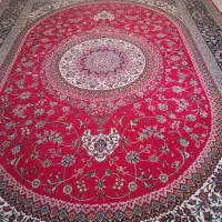 فرش ۱۲متری|فرش|شیراز, پودنک|دیوار