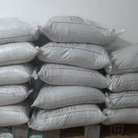 بذر فجر سوزنی ۹۰ روزه پاکوتاه پلمپ بوجار شده