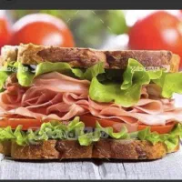 ویزیتور برای ساندویچ سرد