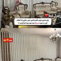 زبرا،مینیمال، مغناطیسی،تدی،تور