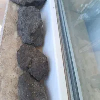 کلکسیون