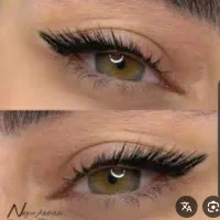 کلکسیون و سرگرمی