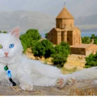 تور گروهی شاد وان دهم شهریور|تور و چارتر|تهران, شهرک غرب|دیوار