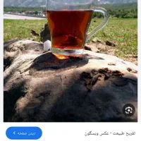 فروش ملک تفریحی یا معاوضه با خودرو