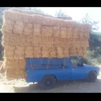 پرس|لوازم جانبی حیوانات|جوین, |دیوار