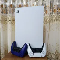 Ps5 fat