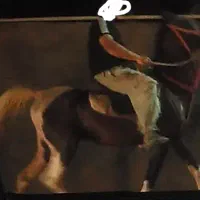 اسب|اسب و تجهیزات اسبسواری|گلزار, |دیوار